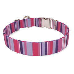 Purple and Pink Stripes Sterling Premium Dog Collar