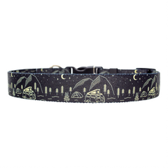 Quiet Site Camping Dog Collar