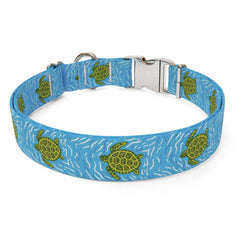 Sea Turtles Sterling Premium Dog Collar