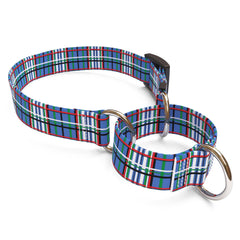 Tartan Blue Martingale Dog Collar