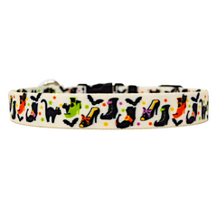 Witch's Shoes Color Dog Collar
