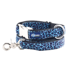 Wild Kitty Blue Velvet Essential Dog Collar