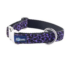 Wild Kitty Purple Velvet Essential Dog Collar