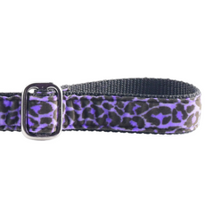 Wild Kitty Purple Velvet Dog Leash
