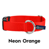 5/8" and 1" Neon Orange Nylon Buckle Dog Collar