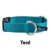 5/8" and 1" Teal Nylon Buckle Dog Collar