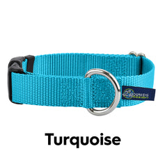 5/8" and 1" Turquoise Nylon Buckle Dog Collar