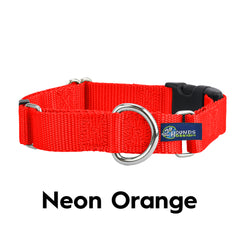 5/8" and 1" Neon Orange Nylon Buckle Martingale Dog Collar