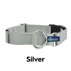 5/8" and 1" Silver Nylon Buckle Martingale Dog Collar