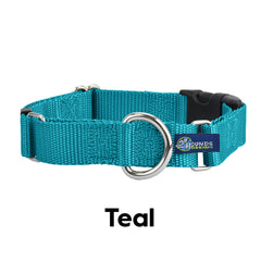5/8" and 1" Teal Nylon Buckle Martingale Dog Collar