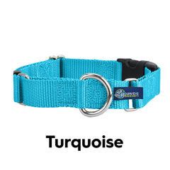 5/8" and 1" Turquoise Nylon Buckle Martingale Dog Collar