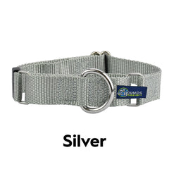 5/8" and 1" Silver Nylon Martingale Dog Collar