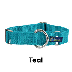 5/8" and 1" Teal Nylon Martingale Dog Collar