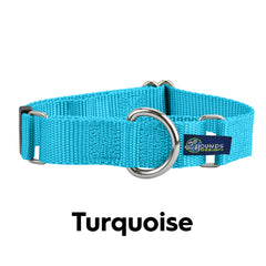 5/8" and 1" Turquoise Nylon Martingale Dog Collar