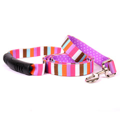 Multi-Stripe Dog Leash