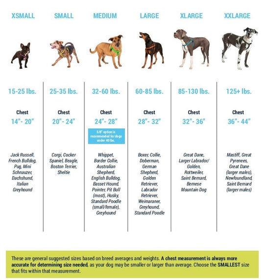 Freedom Harness Size Chart