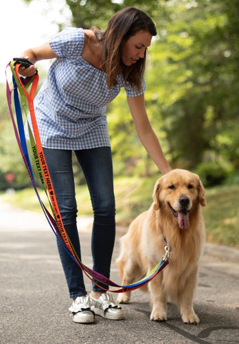 Dog Walking Tips