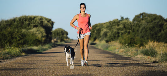 Best Dog Breeds For Runners