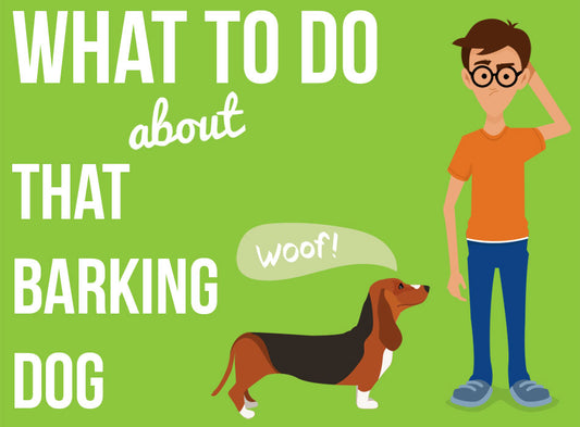 What To Do About That Barking Dog [INFOGRAPHIC]