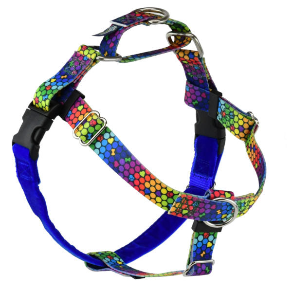 ROY G BIV Freedom No-Pull Dog Harness – EarthStyle