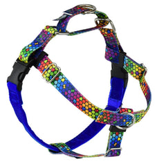 ROY G BIV Freedom No-Pull Dog Harness - EarthStyle