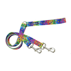 ROY G BIV Training Leash