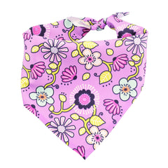 **BUNDLE!** Petal Party Purple Freedom No-Pull Harness & More!