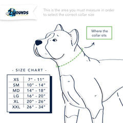 2HD Buckle Collar Measurement Chart