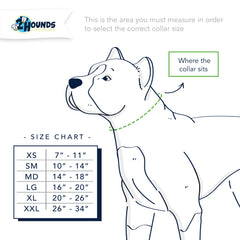 2HD Buckle Collar Measurement Chart