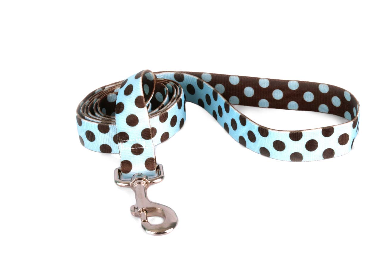 Blue and Brown Polka Dot Dog Leash