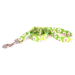 Green Daisy Dog Leash