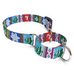 Alpine Martingale Dog Collar