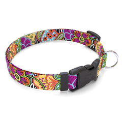 Amazon Floral Dog Collar