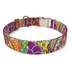 Amazon Floral Dog Collar