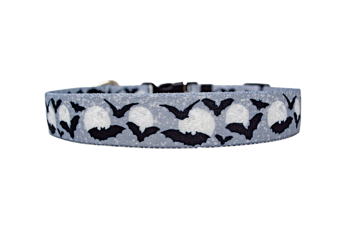 Moon Black and White with Bats Dog Collar