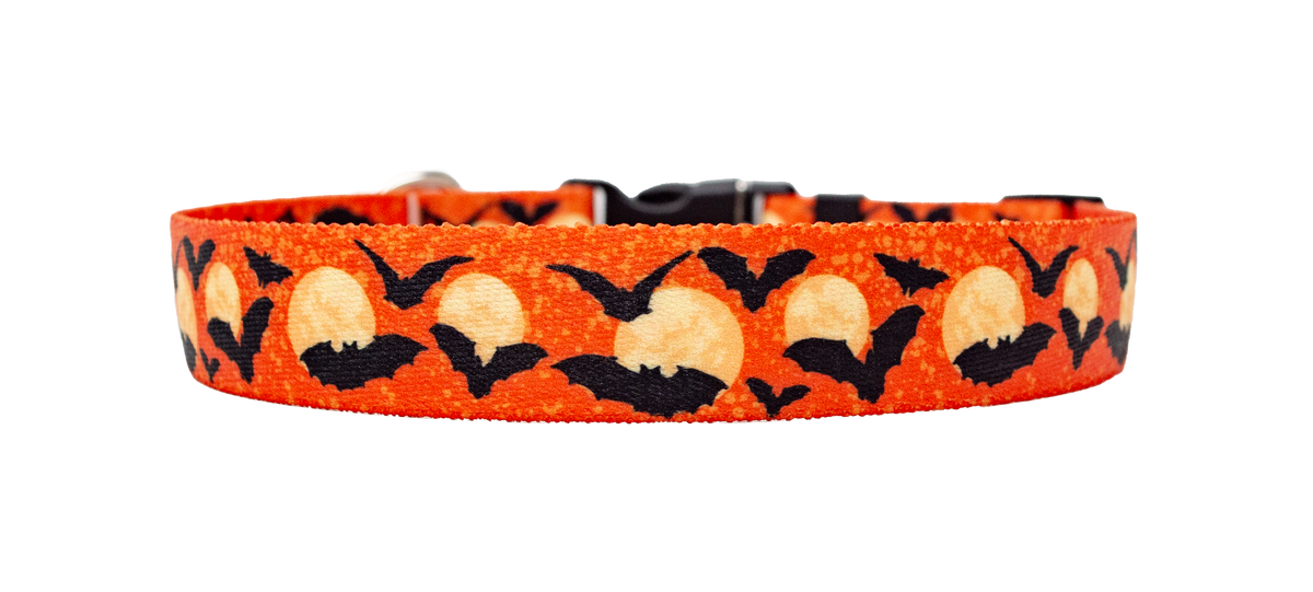 Moon Orange with Bats Dog Collar