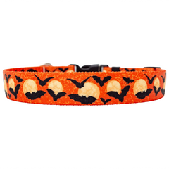 Moon Orange with Bats Dog Collar