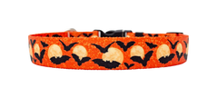 Moon Orange with Bats Dog Collar