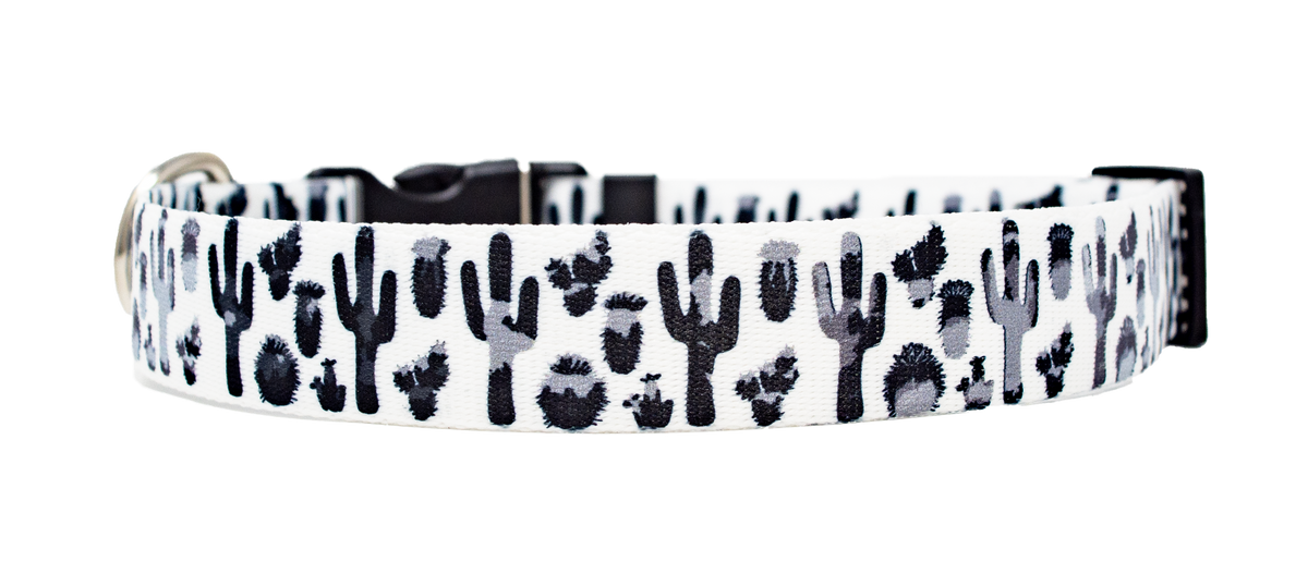 Black and White Cactus Dog Collar