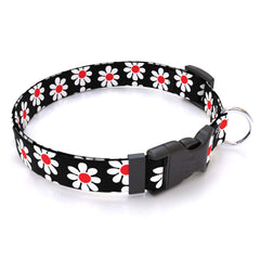 Personalized Black Daisy Dog Collar