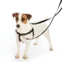 Black Freedom No-Pull Dog Harness and Leash