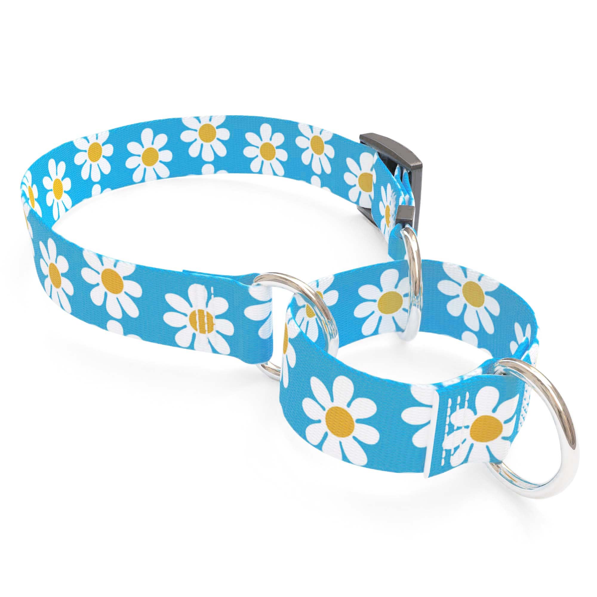 Blue Daisy Dog Collar