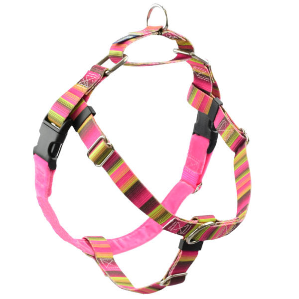 Bonnie Freedom No-Pull Dog Harness - EarthStyle