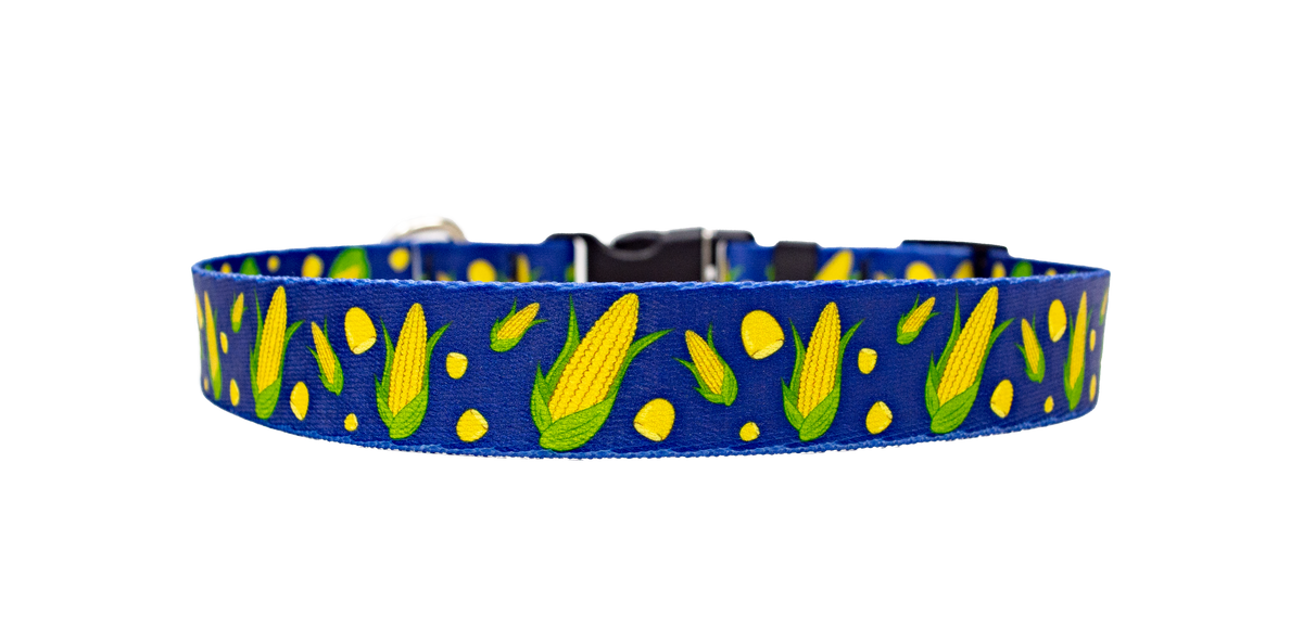 Corny Dog Collar