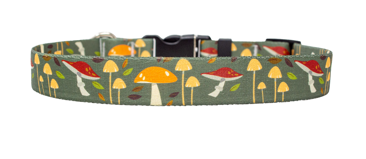 Forest Floor Dog Collar