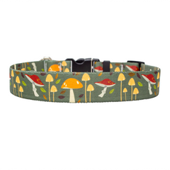 Forest Floor Dog Collar