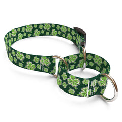 4 Leaf Clover Martingale Dog Collar