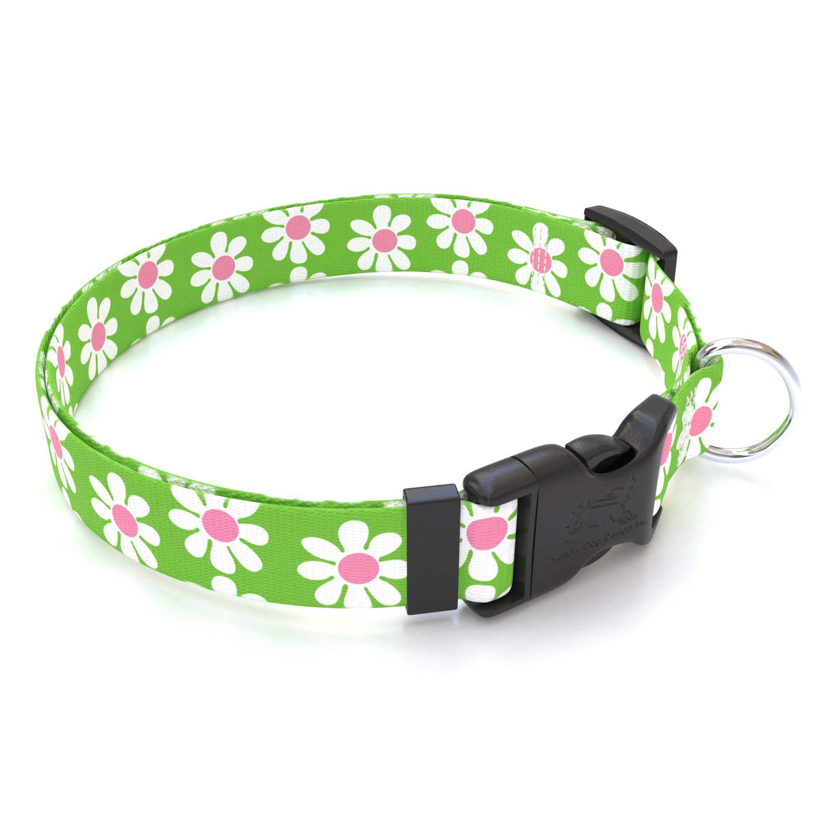 Daisy collar best sale