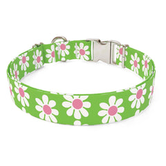 Green Daisy Dog Collar