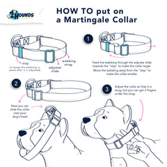 How to put a Martingale Infographic